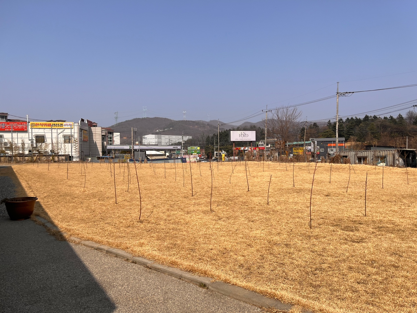 용인 대형 야외정원 베이커리 카페 '언톨드'