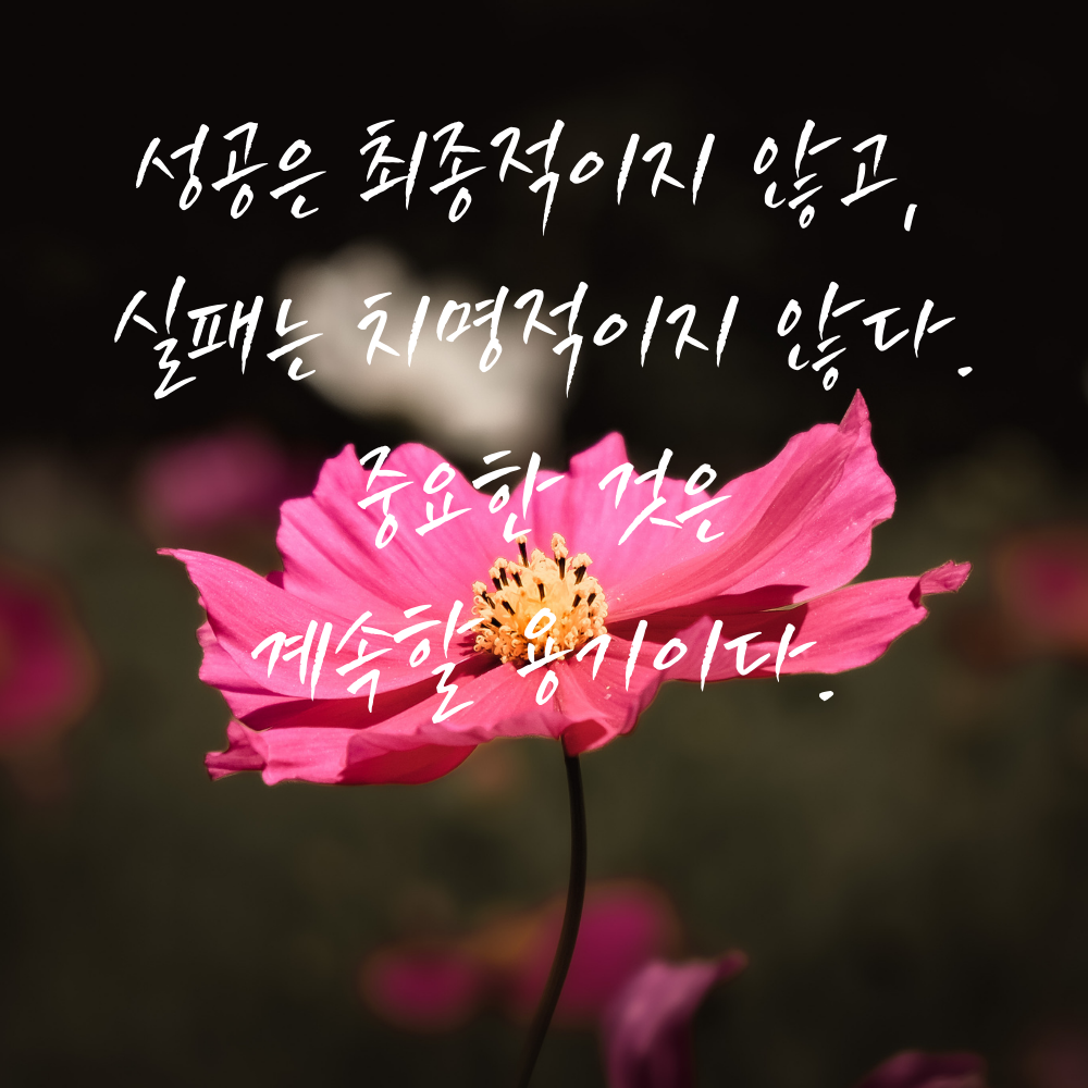 캘리그라피 짧고 좋은 글귀 인생 명언 모음