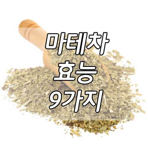 마테차 효능 9가지, 마테차 부작용 잘 알고 먹자!
