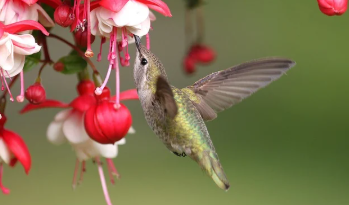 아킬레스건 염증 치료법 총정리 14