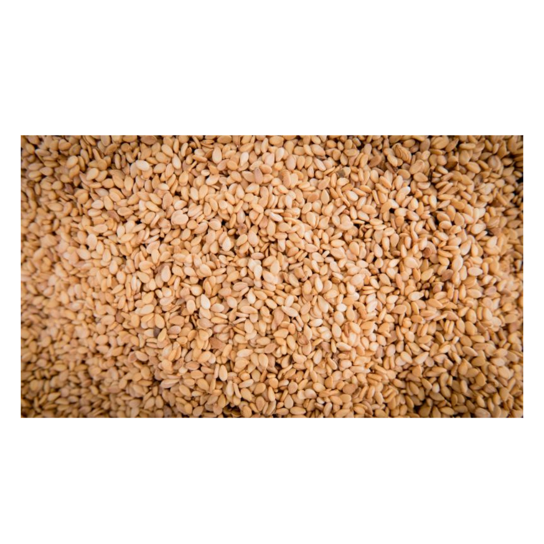 코큐텐과 관련된 사진입니다.