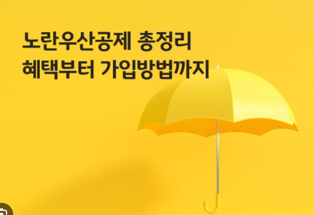 노란우산공제