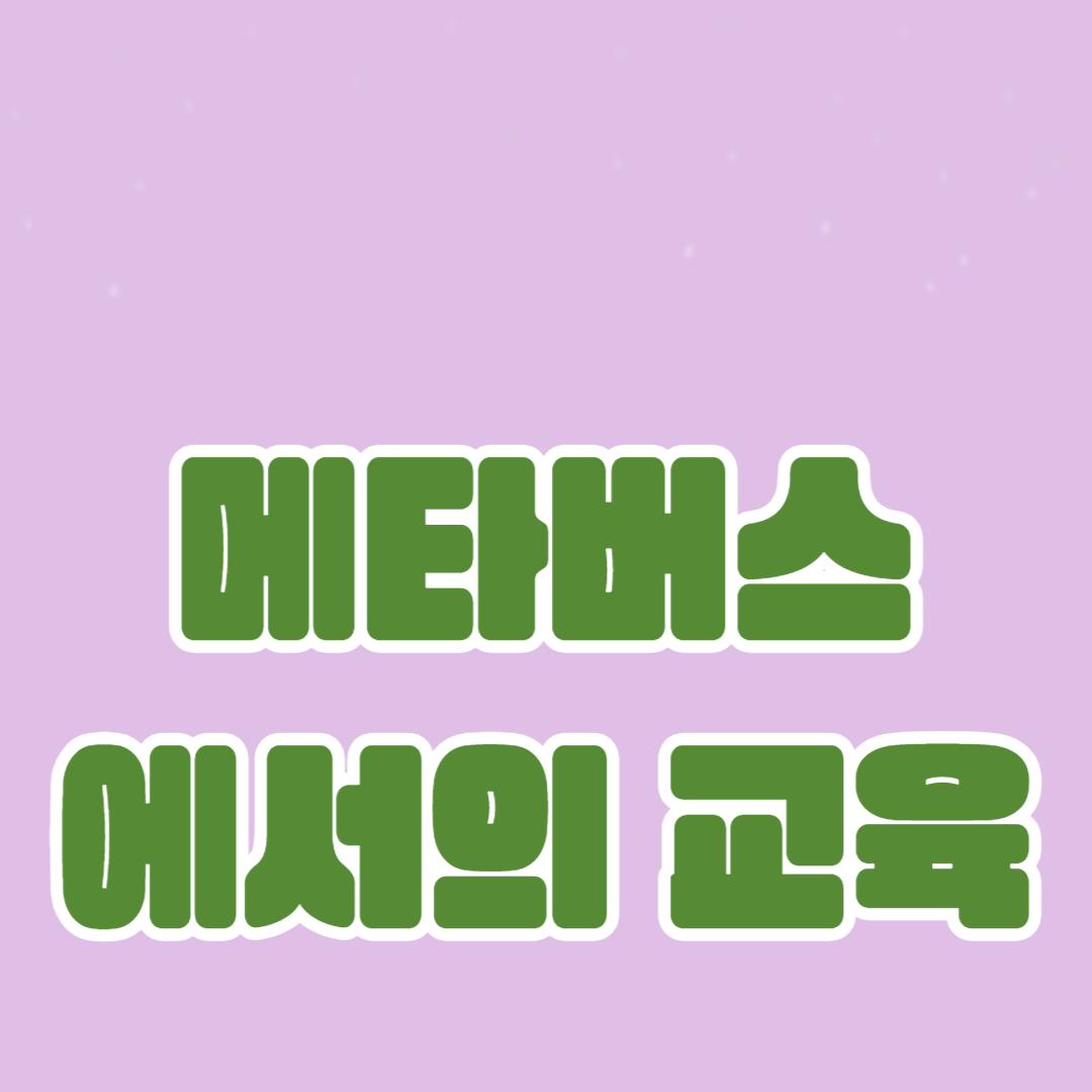 메타버스에서의 교육