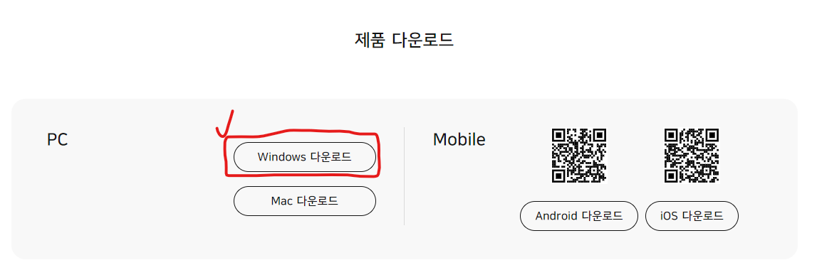 곰플레이어