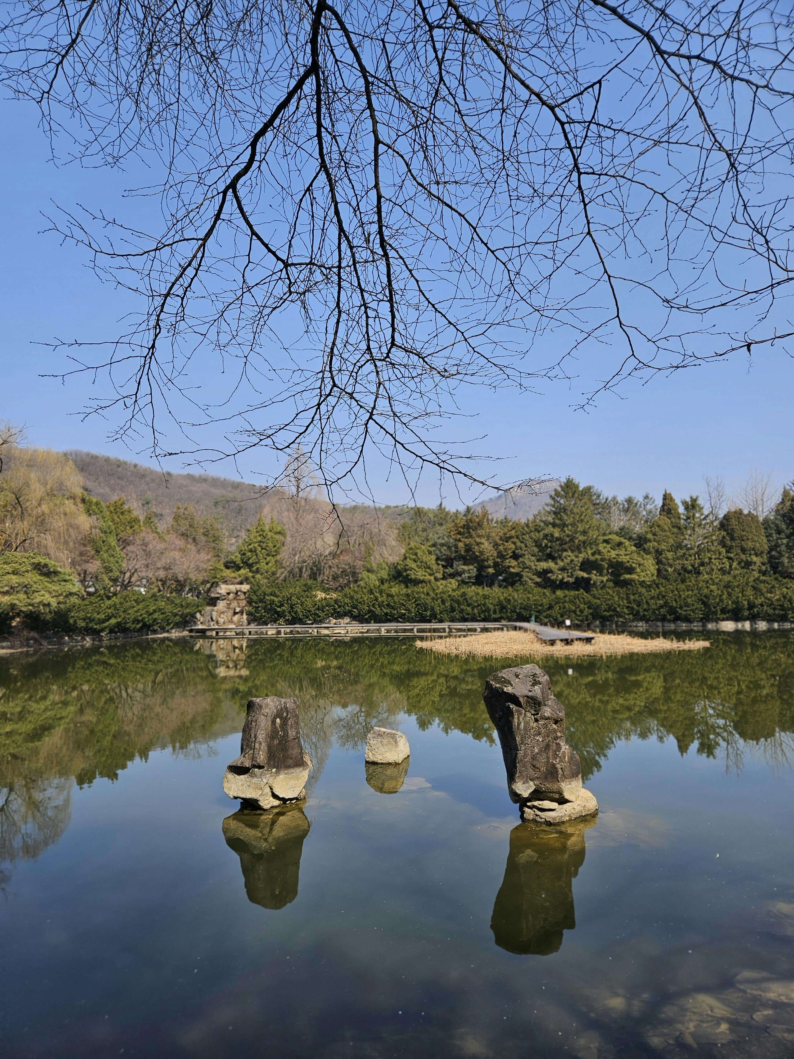 동두천 자연휴양림 예약 숙소 예약 방법