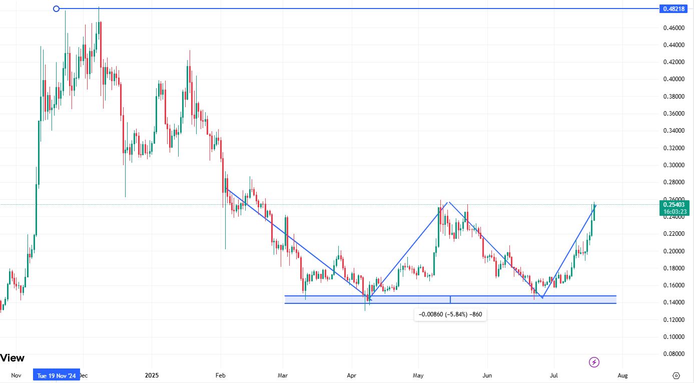 도지코인시세 전망