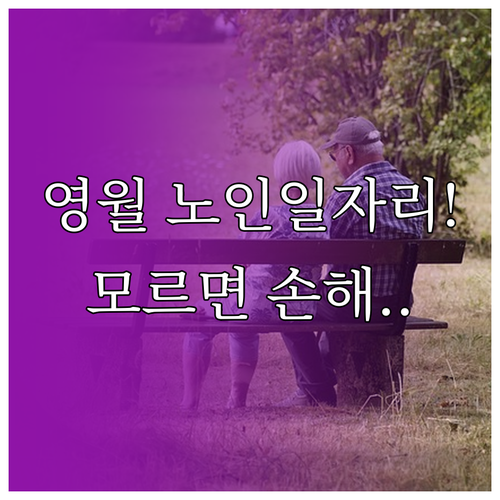 영월군 시니어클럽 공익활동 사회서비스..