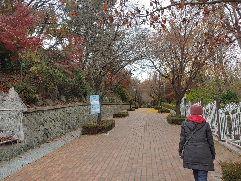 자유공원-산책길