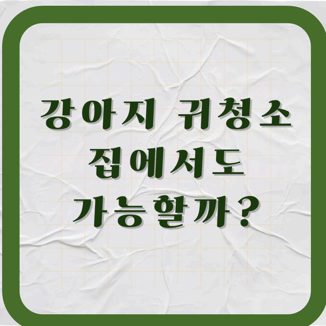 강아지 귀청소, 집에서도 가능할까?