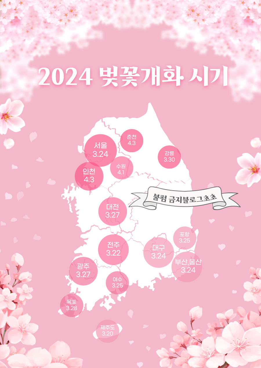 2024년 지역별 벚꽃 개화 시기 지도