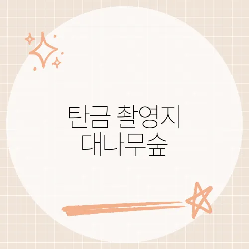 탄금 촬영지 대나무숲, 위치 노출 꺼린 이유?