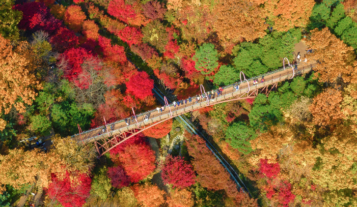 2025 화담숲 예약 방법