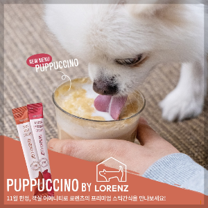 애견 동반 겨울 여행지