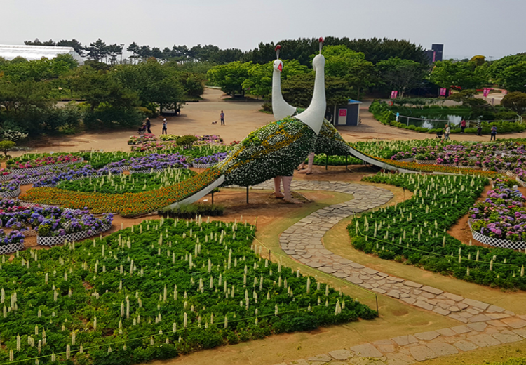 코리아플라워파크