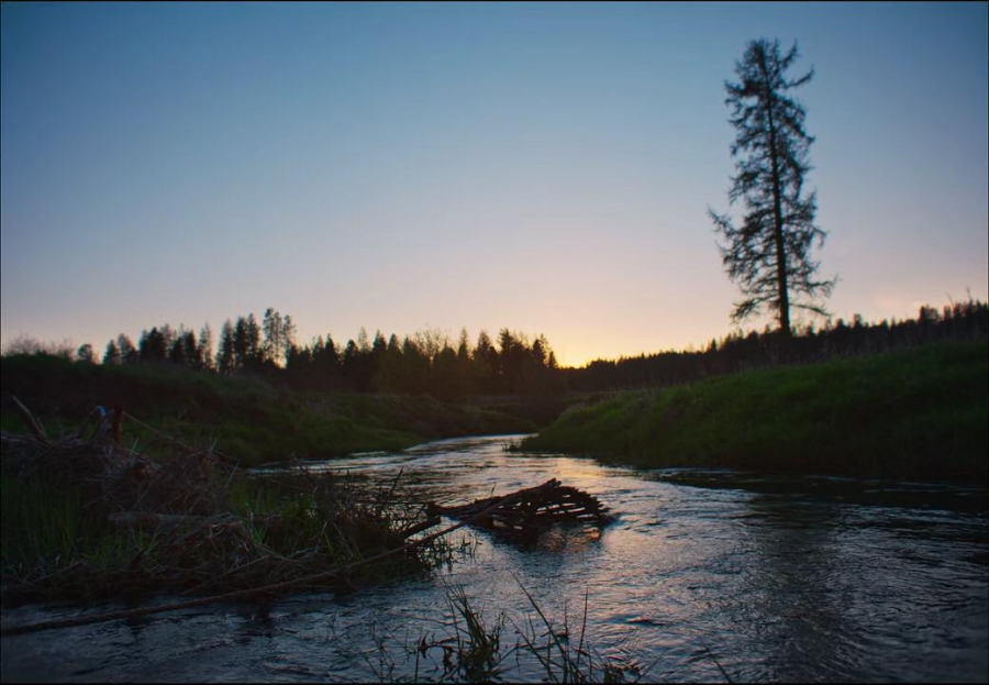 기차의 꿈 영화 리뷰