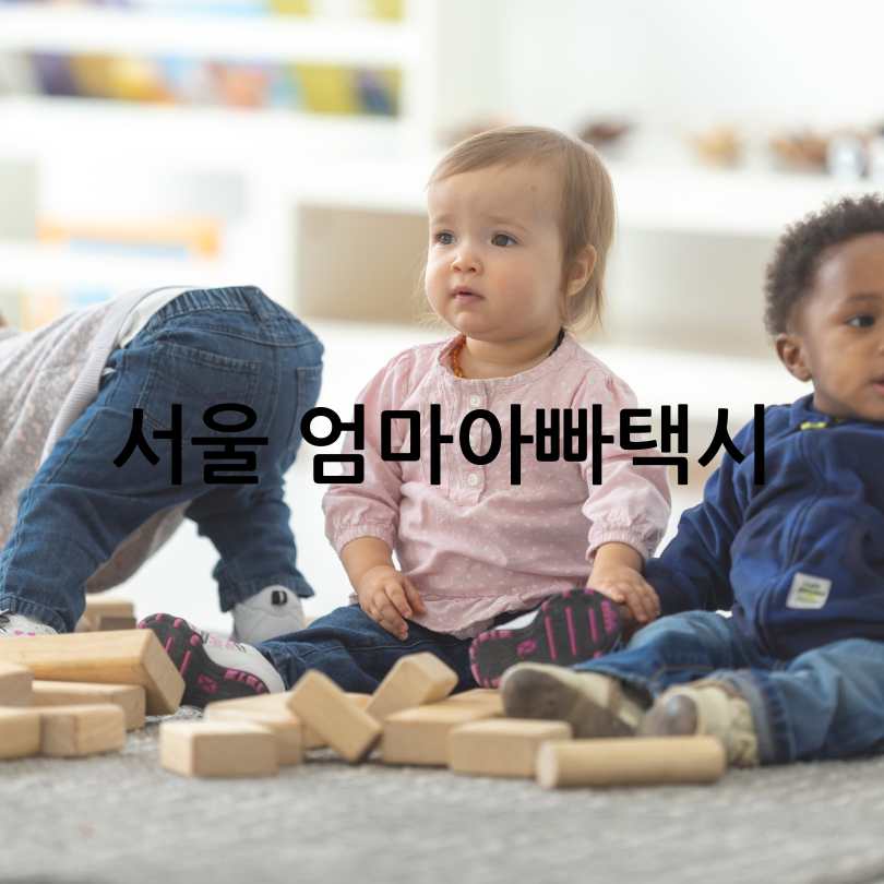 서울 엄마아빠택시