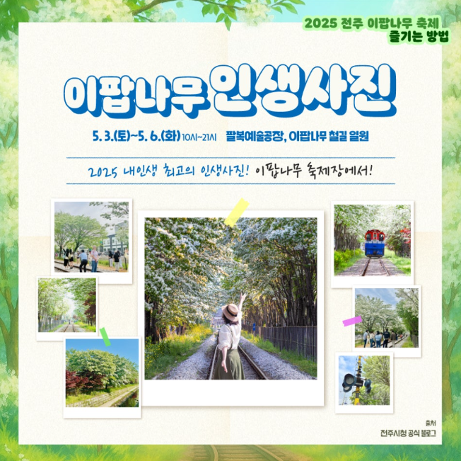 전주 이팝나무축제