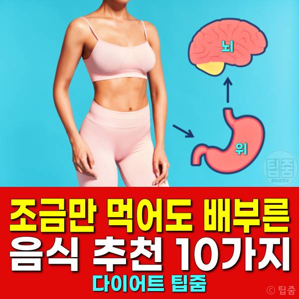 조금만 먹어도 배부른 음식 다이어트식품 추천