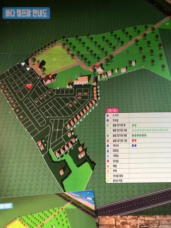 낚시 명당 전라남도 바다 방파제 선상 갈치낚시 정보_13