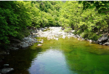 지리산 뱀사골 계곡