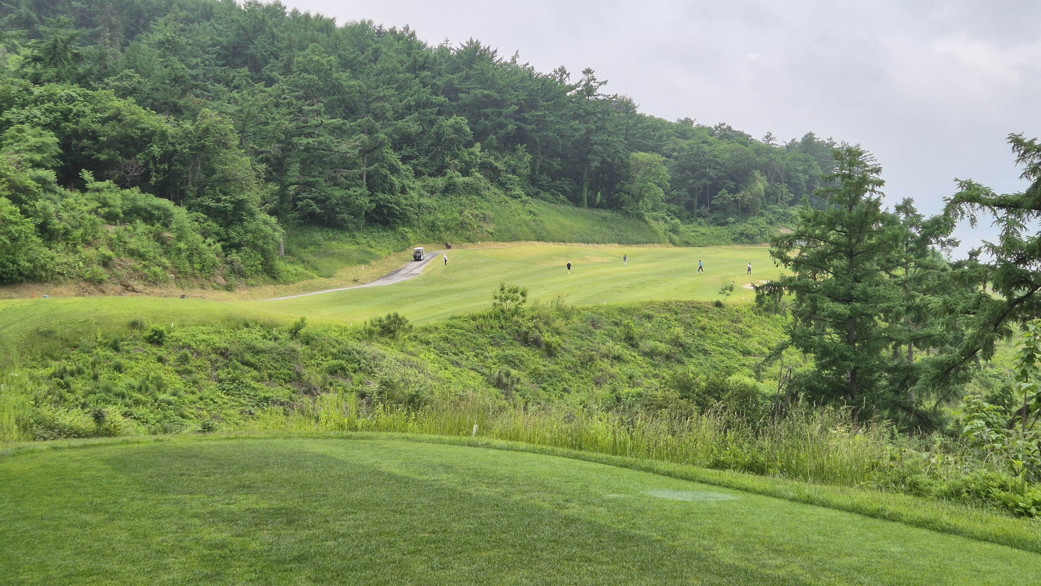 샴발라cc 라운드 후기