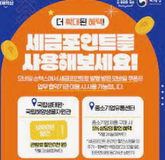 세금포인트 사용법 - 손택스 세금포인트 조회