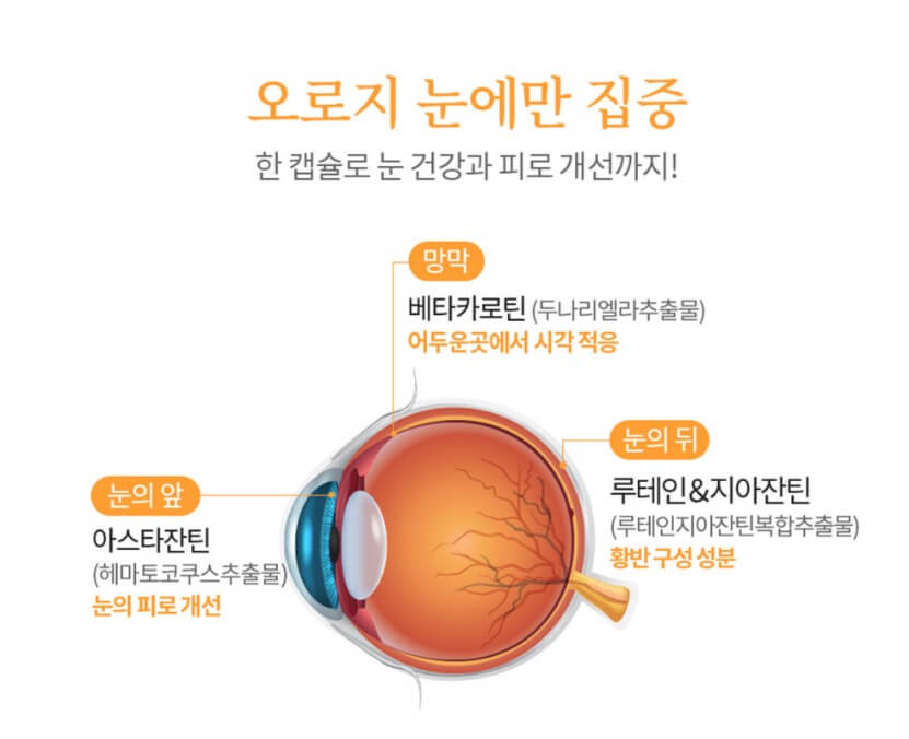 루테인-지아잔틴-아스타잔틴이-오로지-눈에만-집중했다는-것을-강조하기-위해-안구-그림을-통해-알려주고-있습니다.