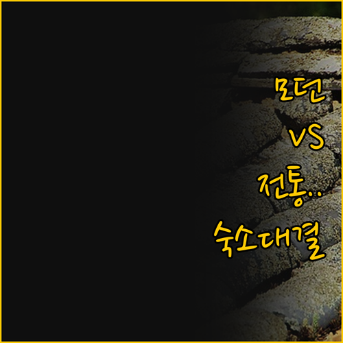 모던함과 전통의 안동 숙소 대결 브라..