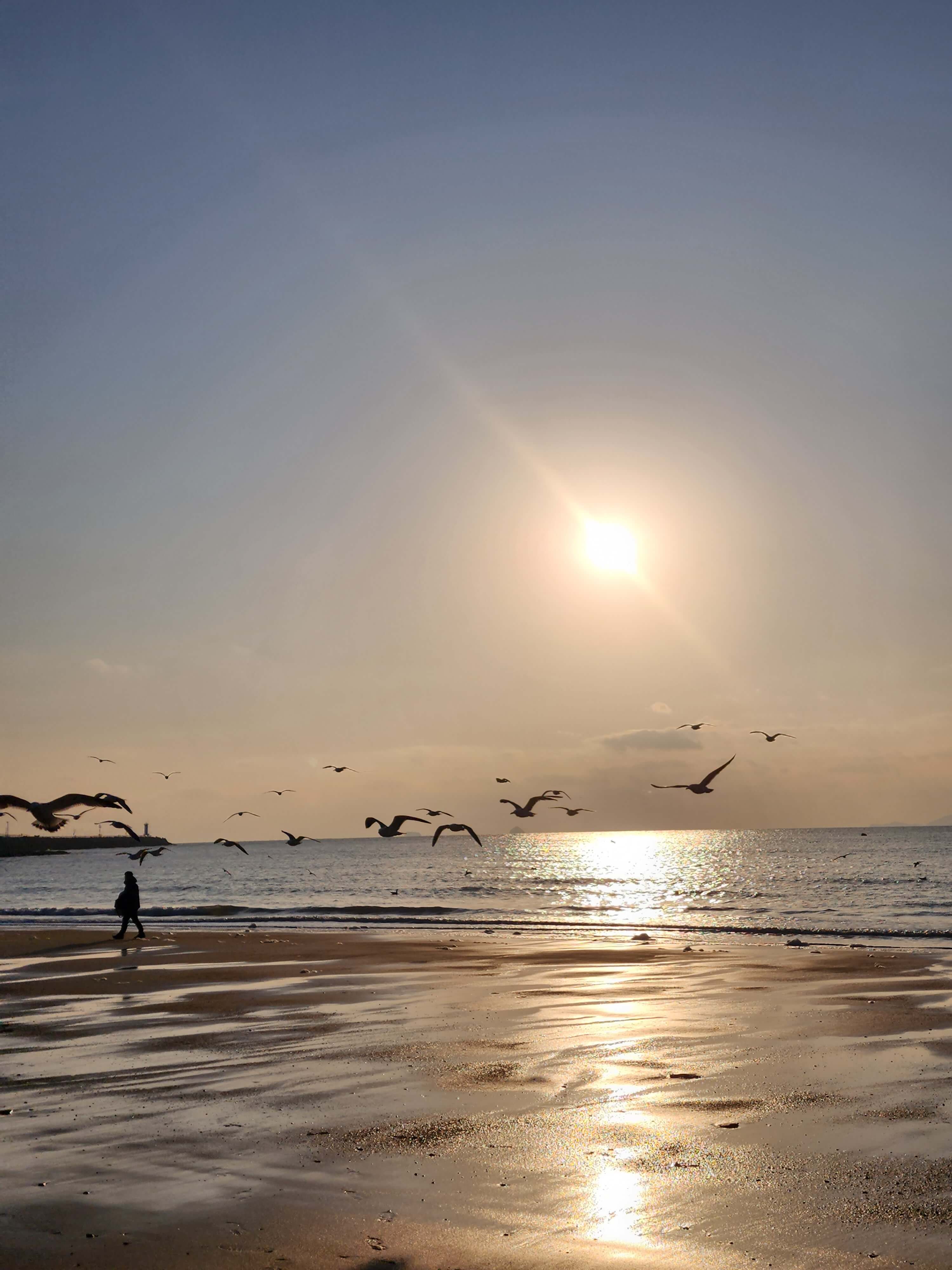 반려견과 변산반도여행 채석강