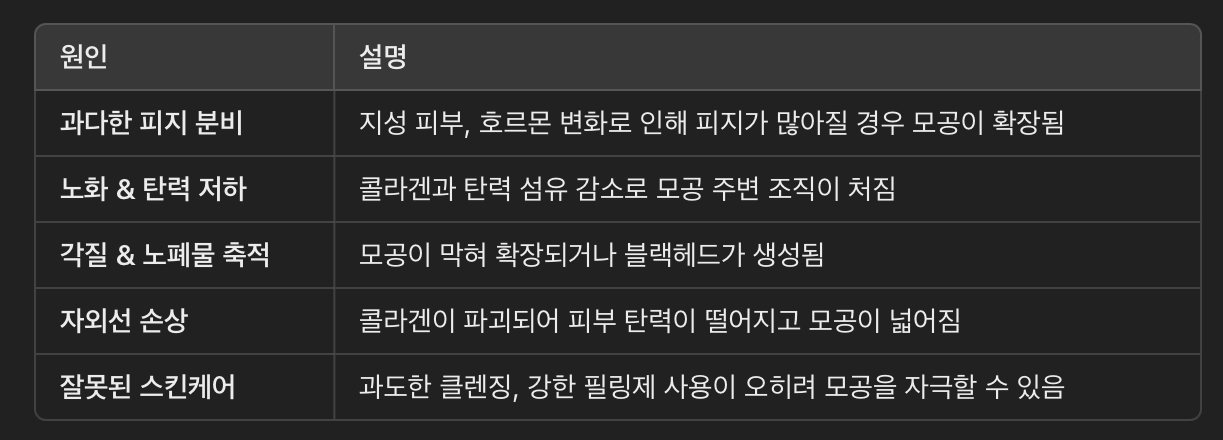 모공이 넓어지는 원인