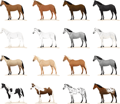 2026년 신년운세 띠별 총정리｜12지 운세 한눈에 보기