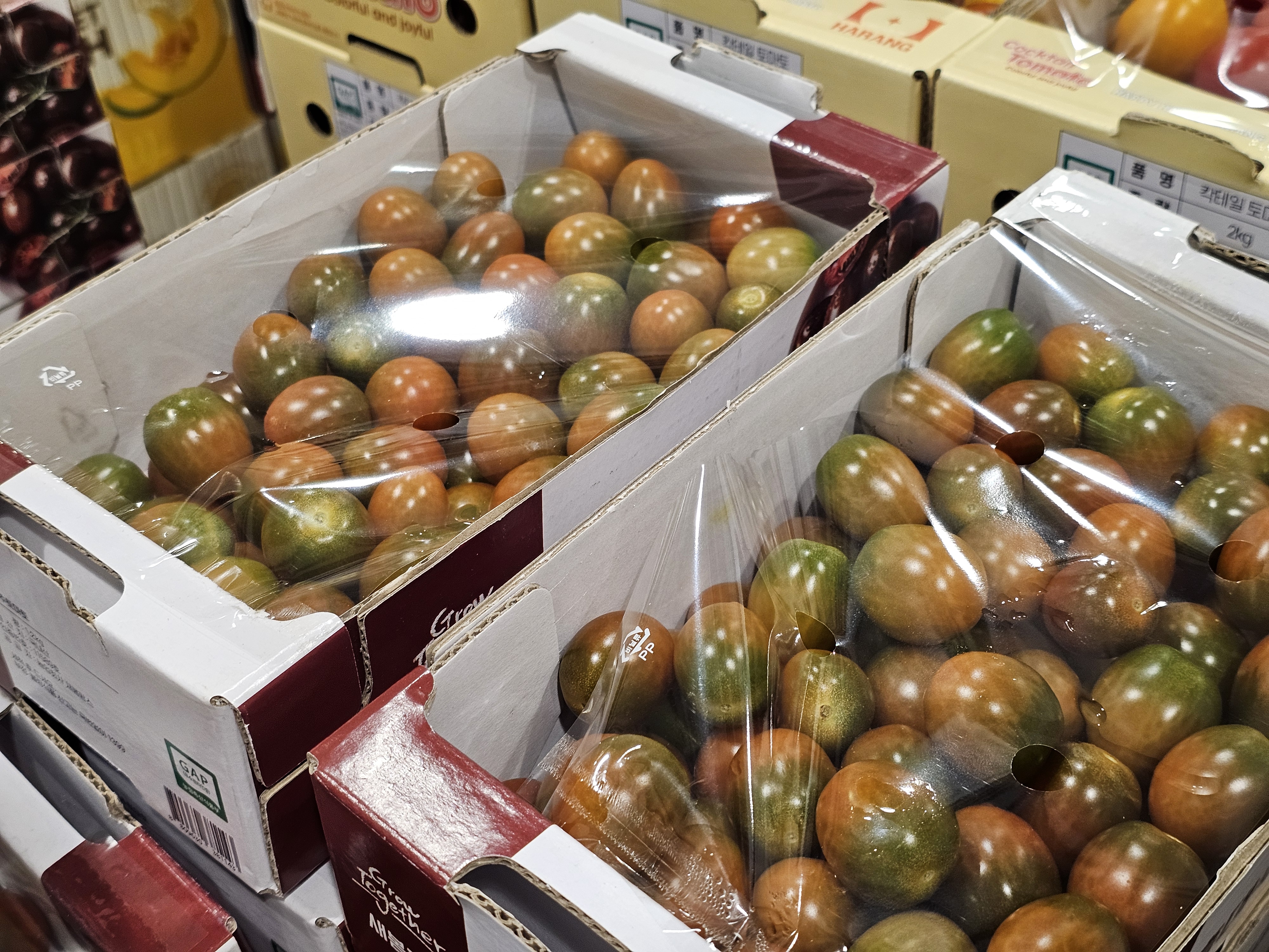흑대추토마토 (1.2kg)
