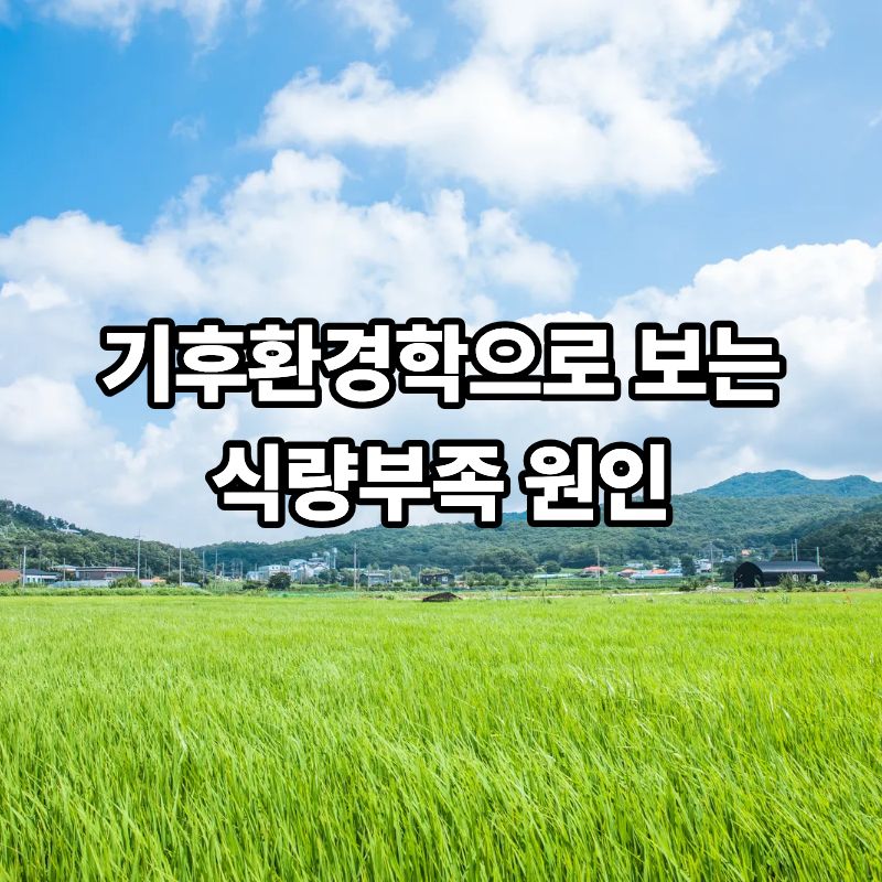 기후환경학으로 보는 식량부족 원인
