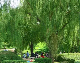 경기도 1박 2일 여행지 추천 베스트 5곳 총정리 완벽 코스_20