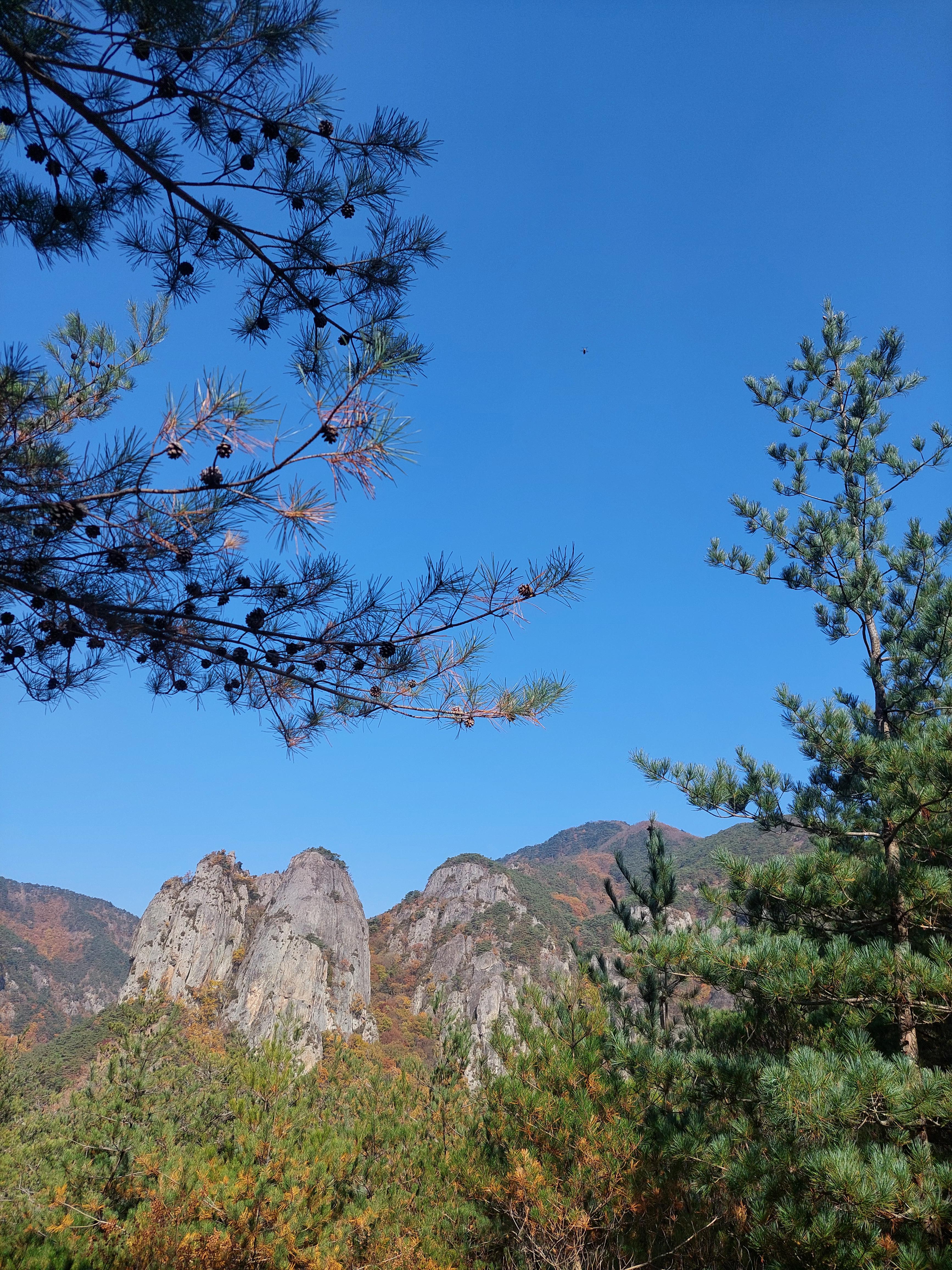주왕산