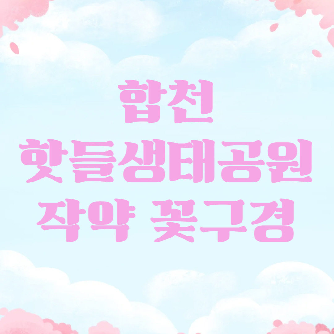 합천 핫들생태공원 작약꽃구경