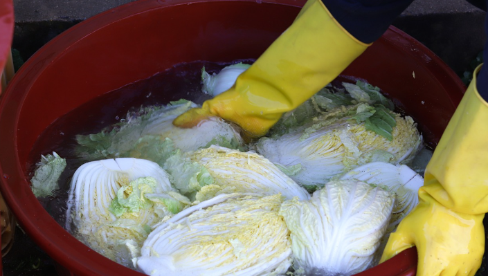 김장 절임배추 꿀팁 및 알뜰하게 구입 방법