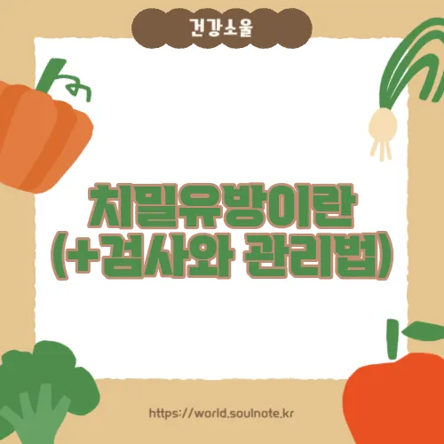 치밀유방이란 (+검사와 관리법)