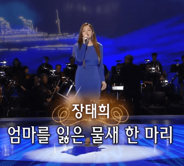 장태희(정재은) 연락선