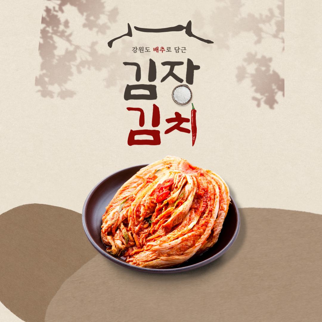 강원도배추