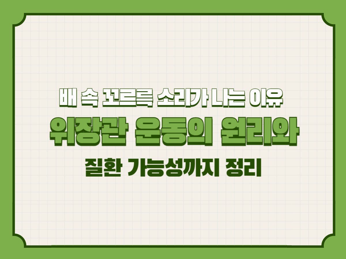 배 속 꼬르륵 소리가 나는 이유 &ndash; 위장관 운동의 원리와 질환 가능성까지 정리