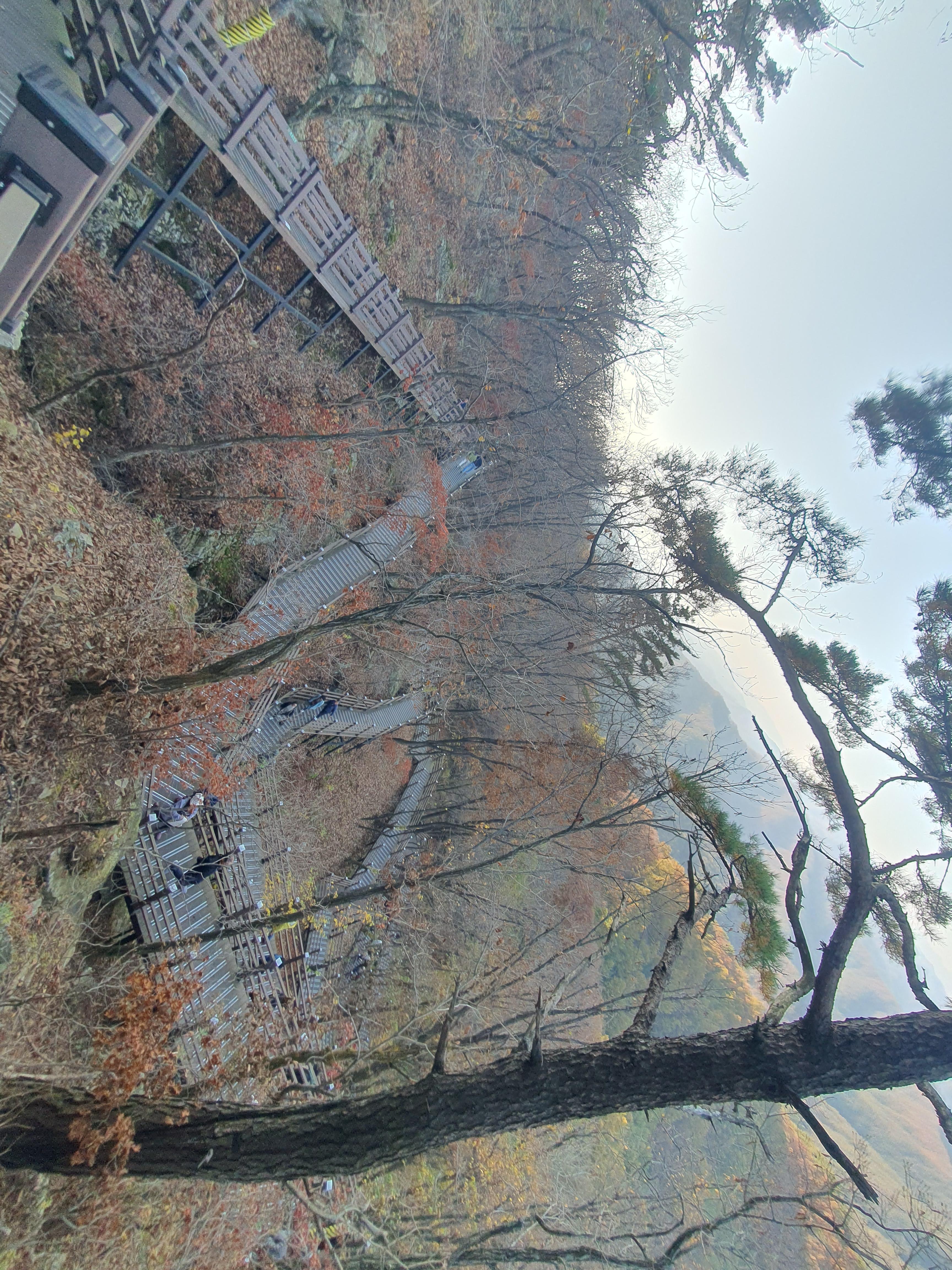 춘천 삼악산 호수 케이블카 요금 할인 예약 정보 : 하늘을 걷는 기분 특별한 여행