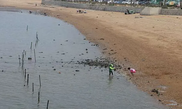 궁평리해수욕장
