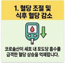 바나바잎 추출물 코로솔산 효능 5가지 상세 분석