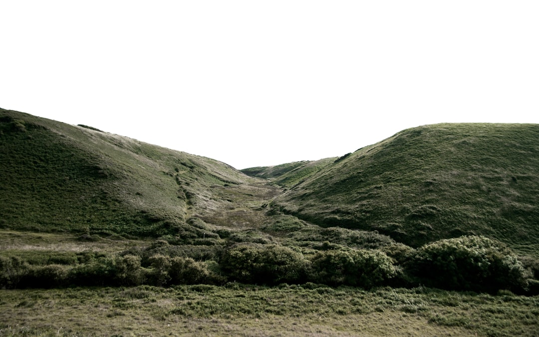 Hill