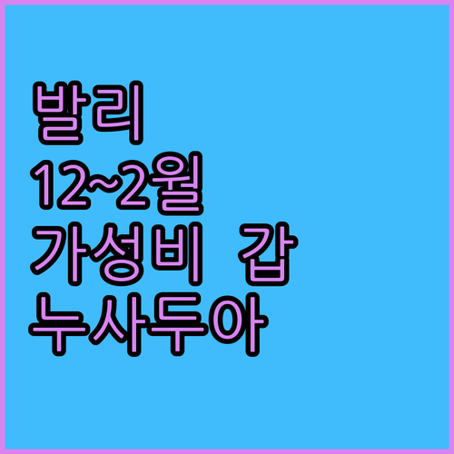 발리 12월 2월 여행 준비물과 누사..