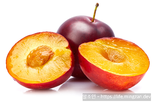 자두의 효능 대공개