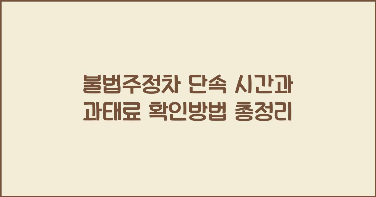 불법주정차 단속 시간