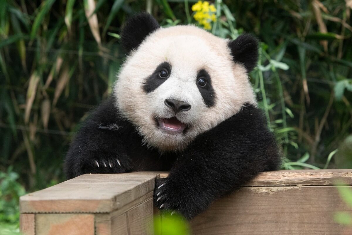 바비브라운내돈내산