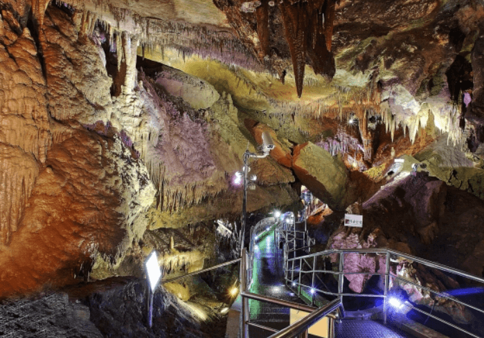 천곡-황금박쥐동굴